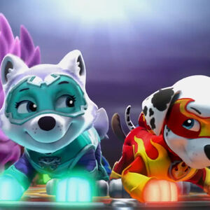 Marshall X Everest Paw Patrol Relation Ship Wiki Fandom