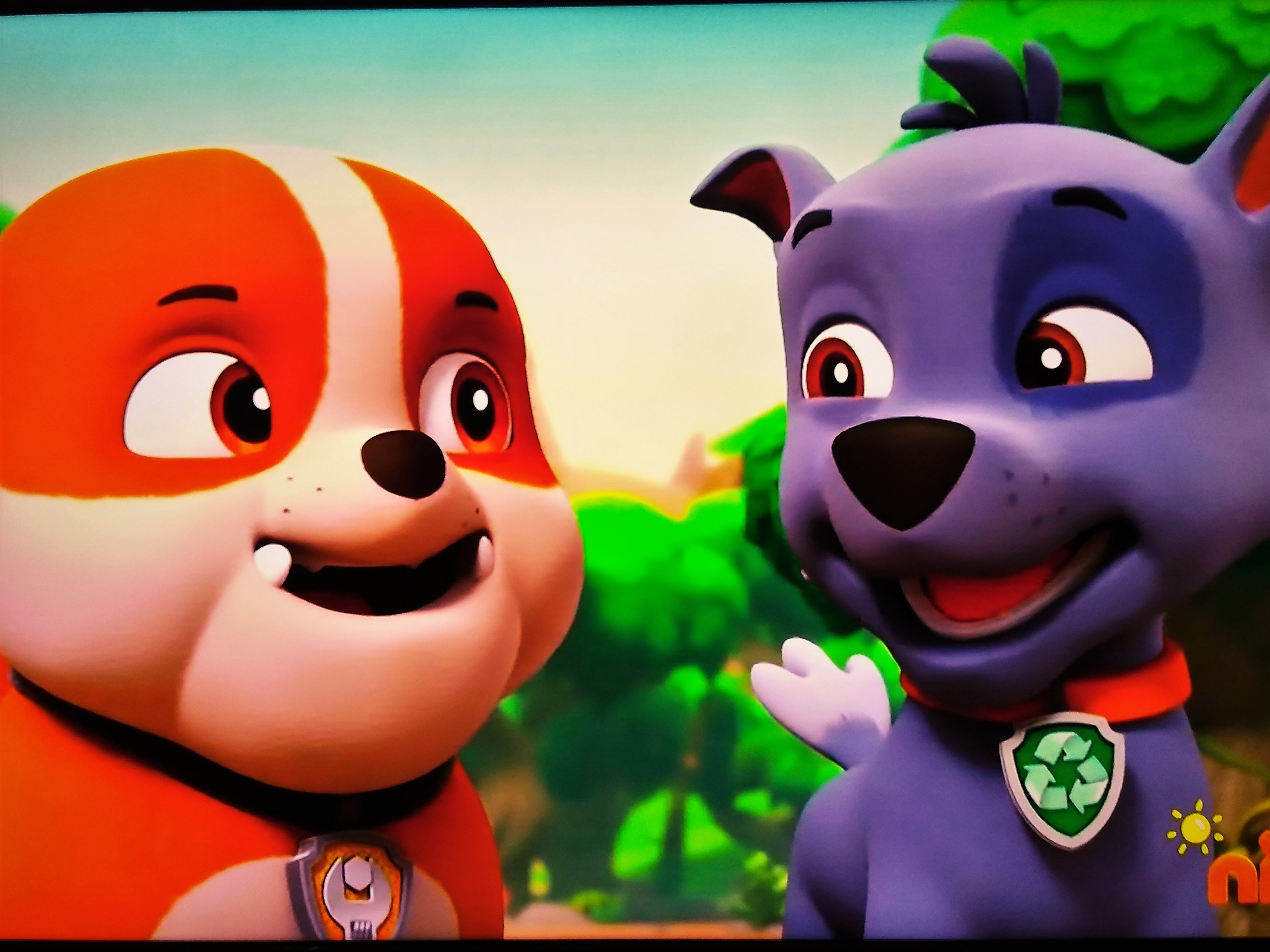 rubble and rocky paw patrol