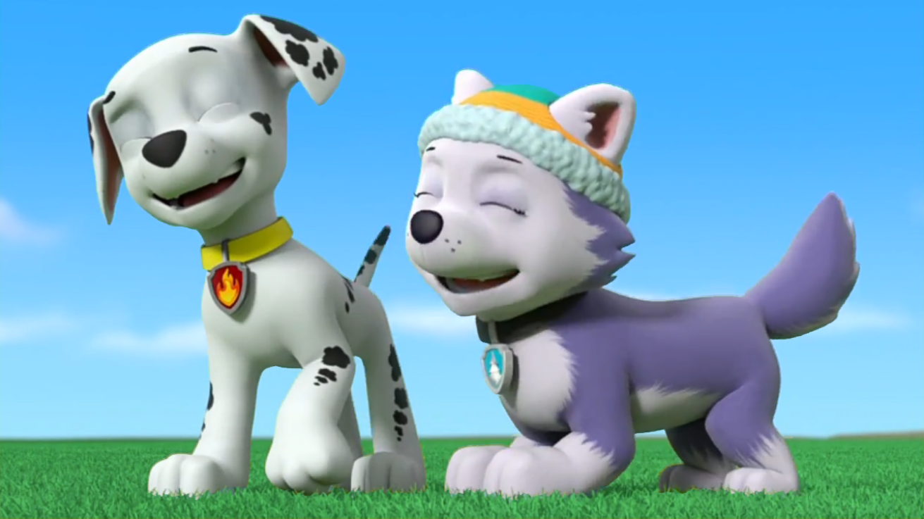 Marshall X Everest Paw Patrol Relation Ship Wiki Fandom 1718