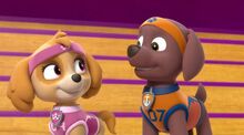 Rocky X Zuma | Paw Patrol Relation Ship Wiki | FANDOM powered by Wikia