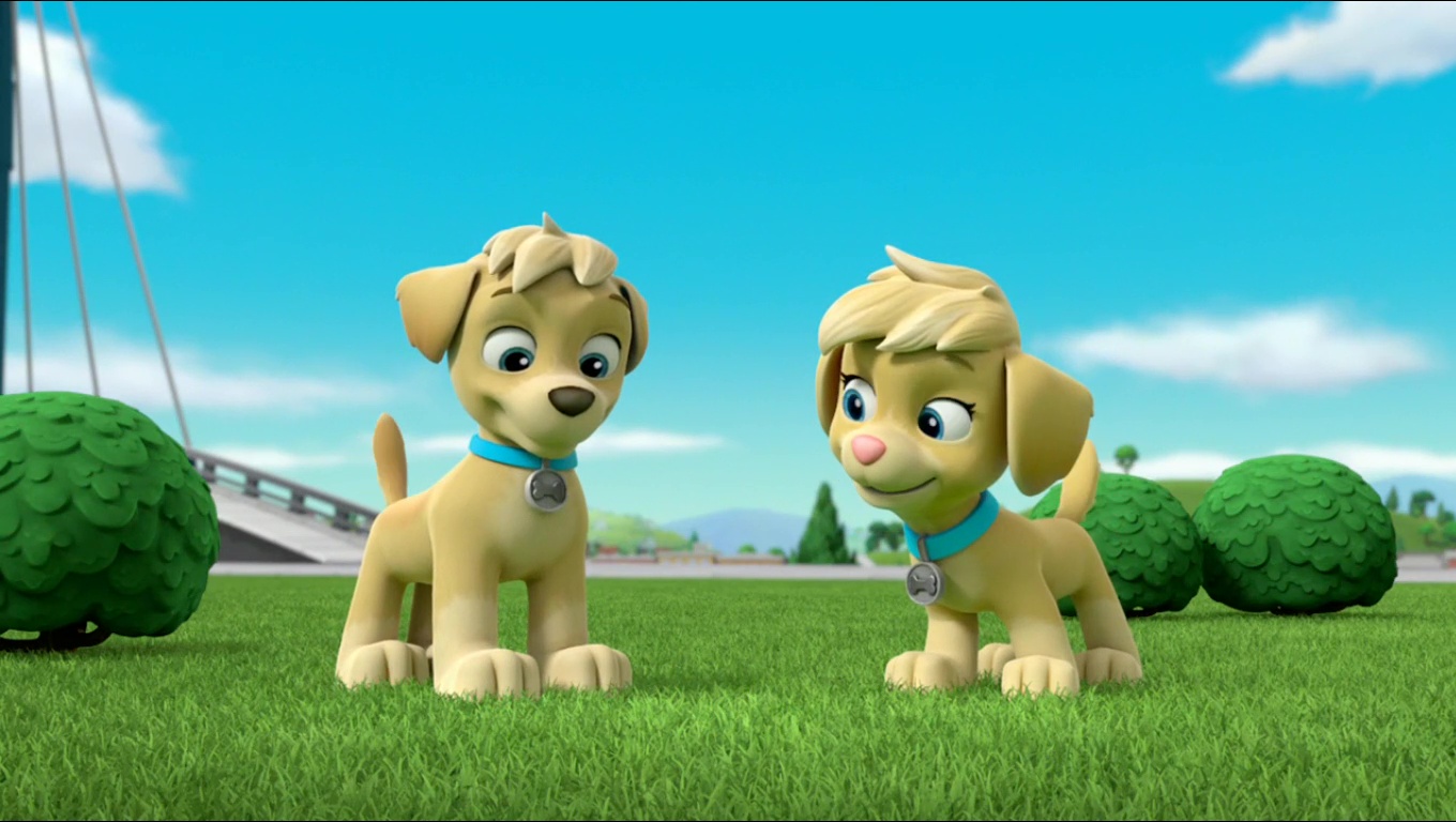 Tuck Ella Paw Patrol Relation Ship Wiki Fandom