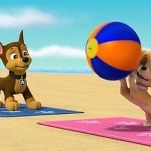 Chase X Skye Paw Patrol Relation Ship Wiki Fandom