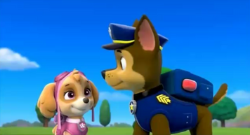 Chase X Skye