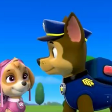 Chase X Skye Paw Patrol Relation Ship Wiki Fandom