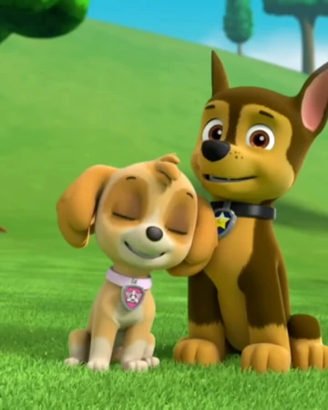 paw patrol walking singing dog