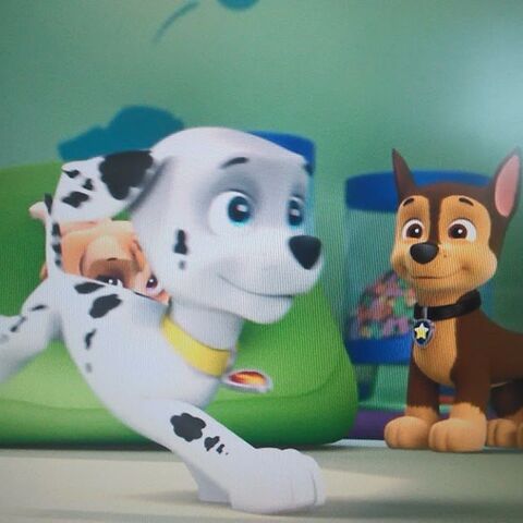 Chase | Paw Patrol Relation Ship Wiki | FANDOM powered by ...