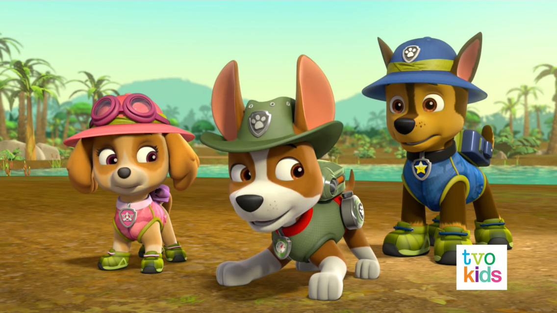 tracker and vehicle paw patrol
