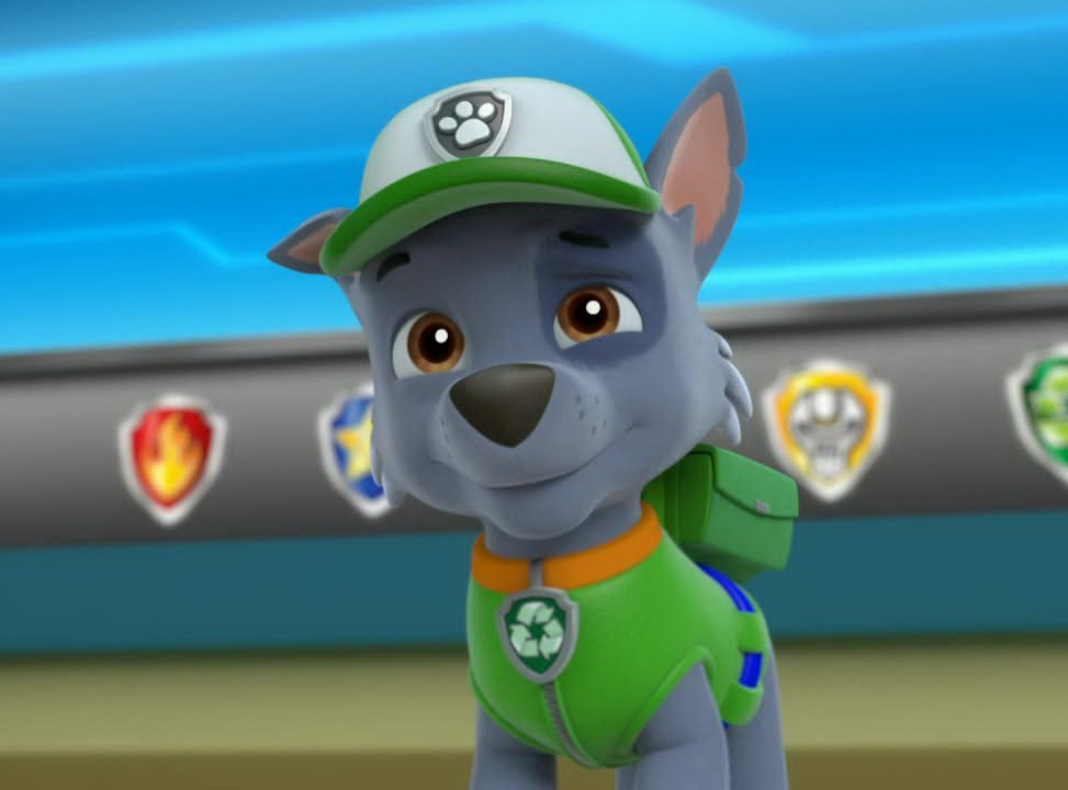 Rocky Paw Patrol Relation Ship Wiki FANDOM powered by