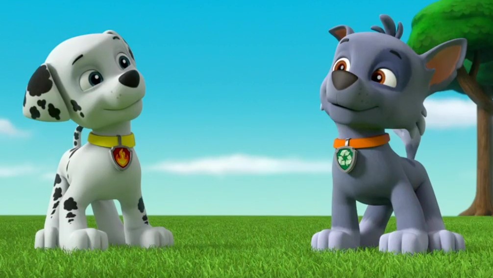 Rocky & Marshall | Paw Patrol Relation Ship Wiki | Fandom