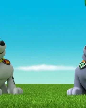 talking rocky paw patrol