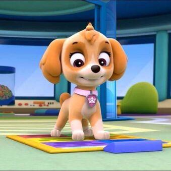 Skye | Paw Patrol Relation Ship Wiki | Fandom