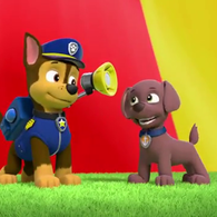 Zuma X Skye | Paw Patrol Relation Ship Wiki | Fandom