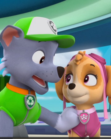 Rocky X Skye Paw Patrol Relation Ship Wiki Fandom