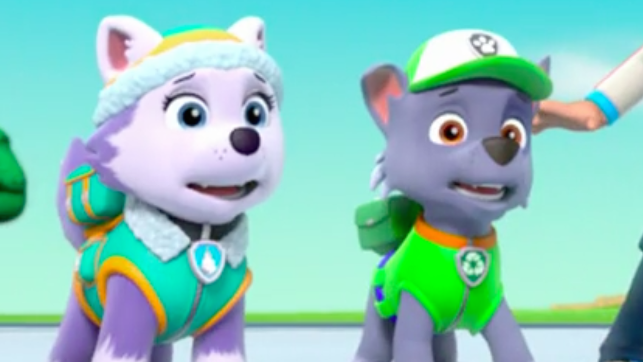 Should Rocky Love Skye Or Everest Paw Patrol Relationships Wiki