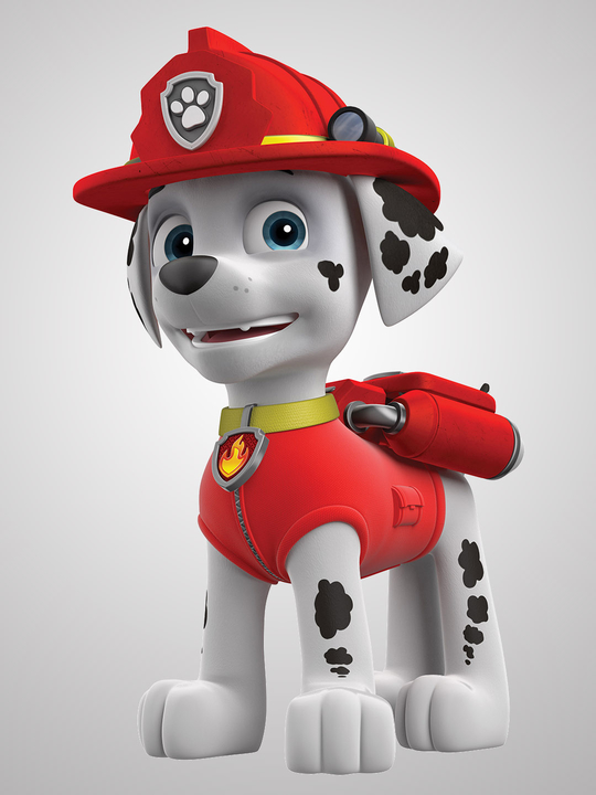 Marshall | Wiki Paw Patrol Spanish | FANDOM powered by Wikia