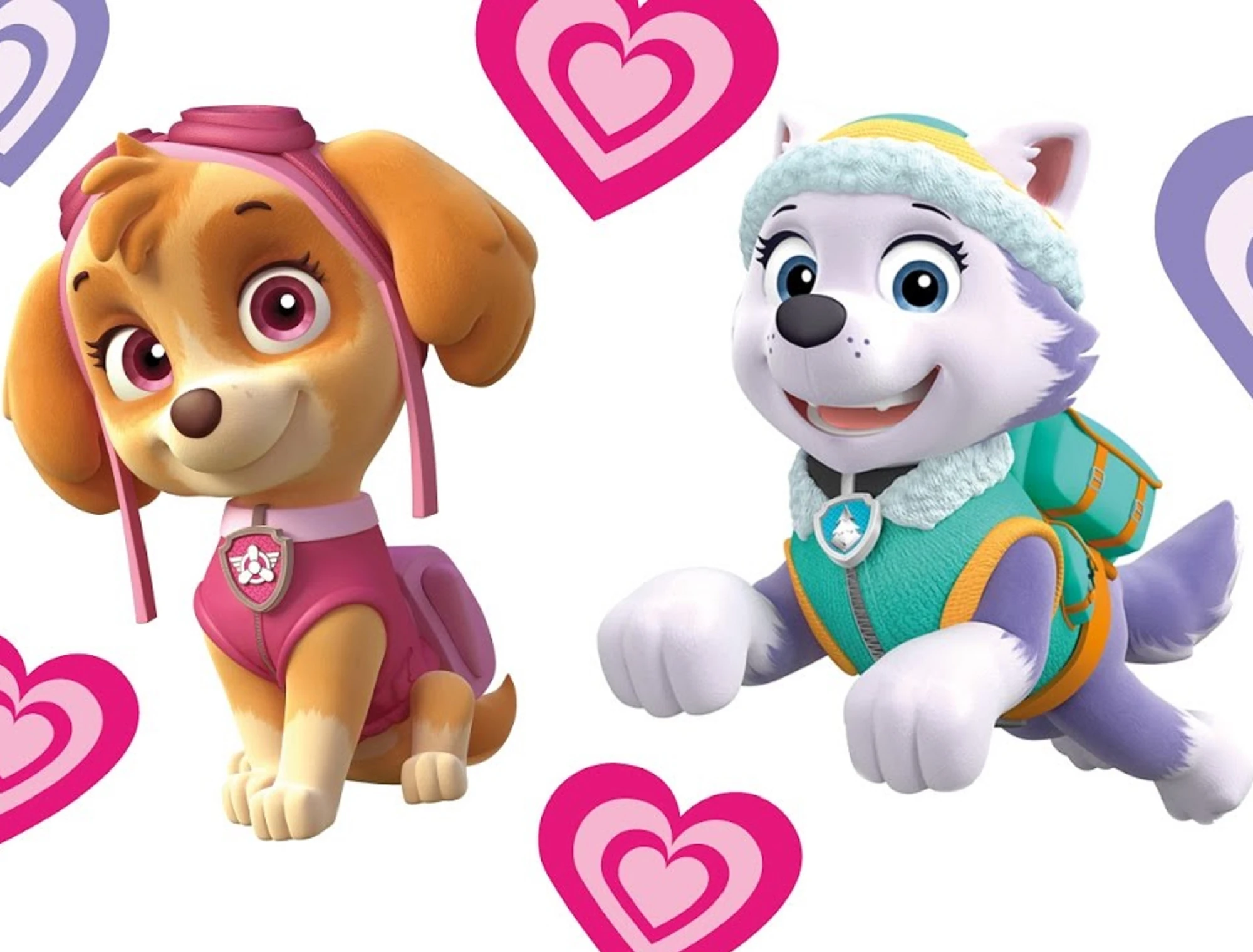 Image - .028 Skye Everest & Zachary 28 24 25 22 20.jpg | PAW Patrol