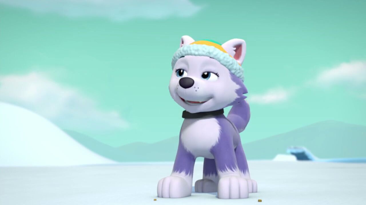 paw patrol new pup liberty