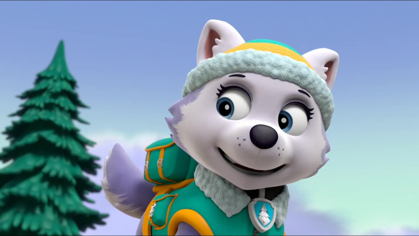 Paw Patrol Everest