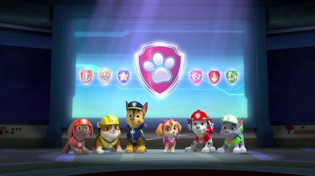 paw patroller launch