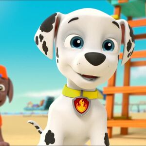 marshall paw patrol sea patrol