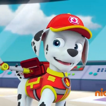 Marshall Paw Patrol Wiki Fandom