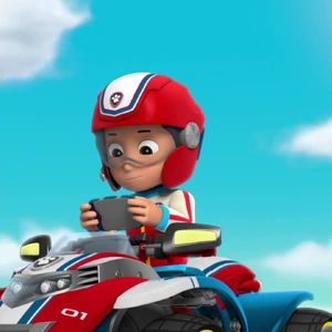 paw patrol ryder helmet