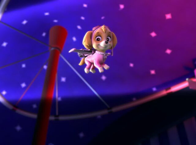 File:Fly..!!.jpg