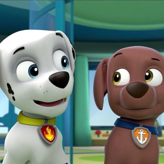 Zumagallerypups Get A Rubble Paw Patrol Wiki Fandom Powered By Wikia 