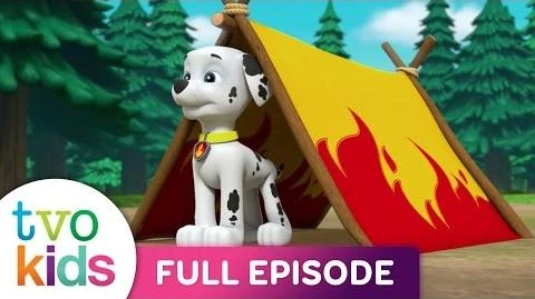 Video - Paw Patrol - Pups Save a Friend - Full Episode | PAW Patrol