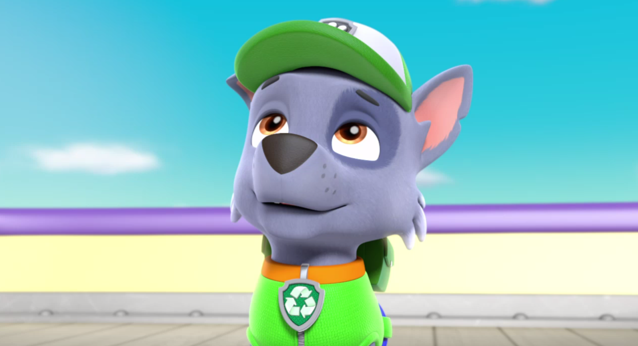 rocky pup paw patrol