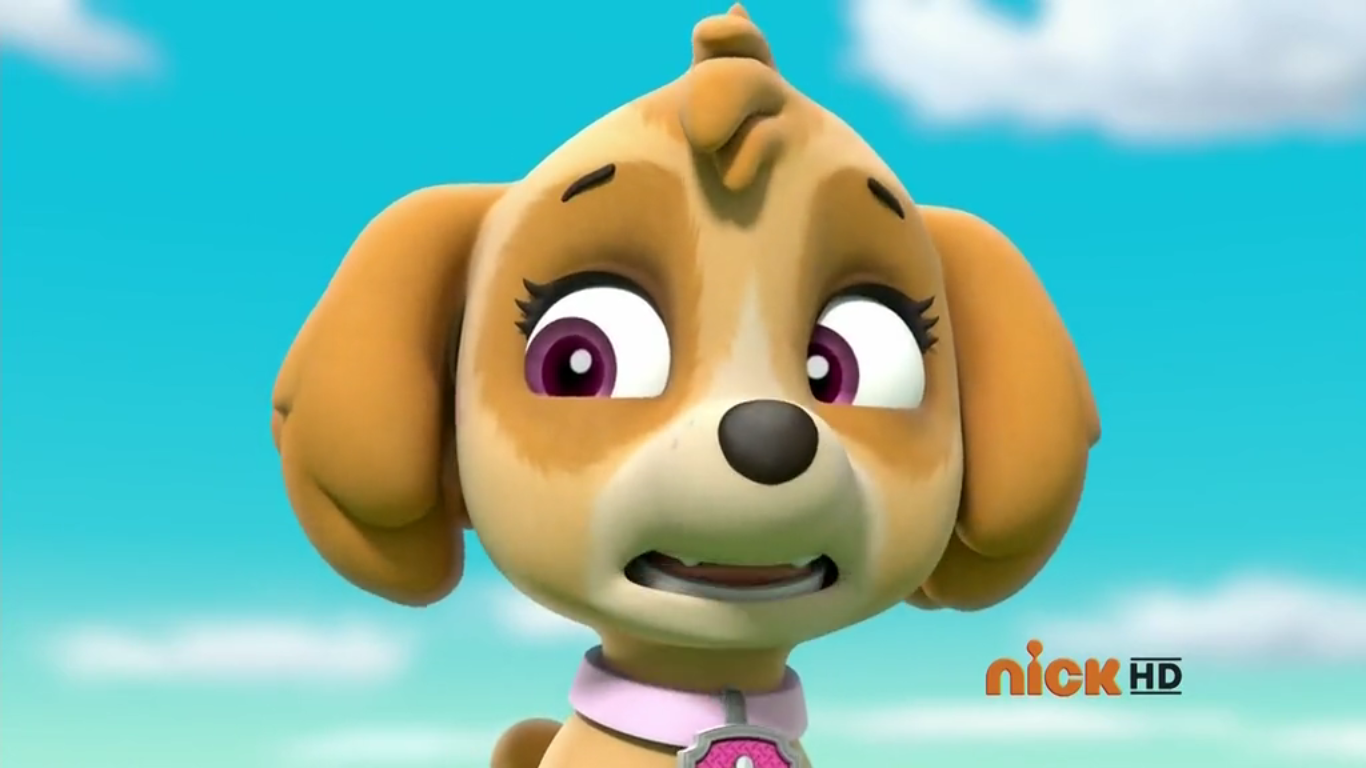 Skyegallerypups Save An Adventure Paw Patrol Wiki Fandom Powered By Wikia 