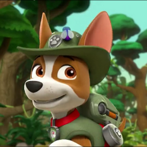 paw patrol trucker