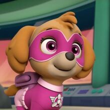 Skye Paw Patrol Wiki Fandom