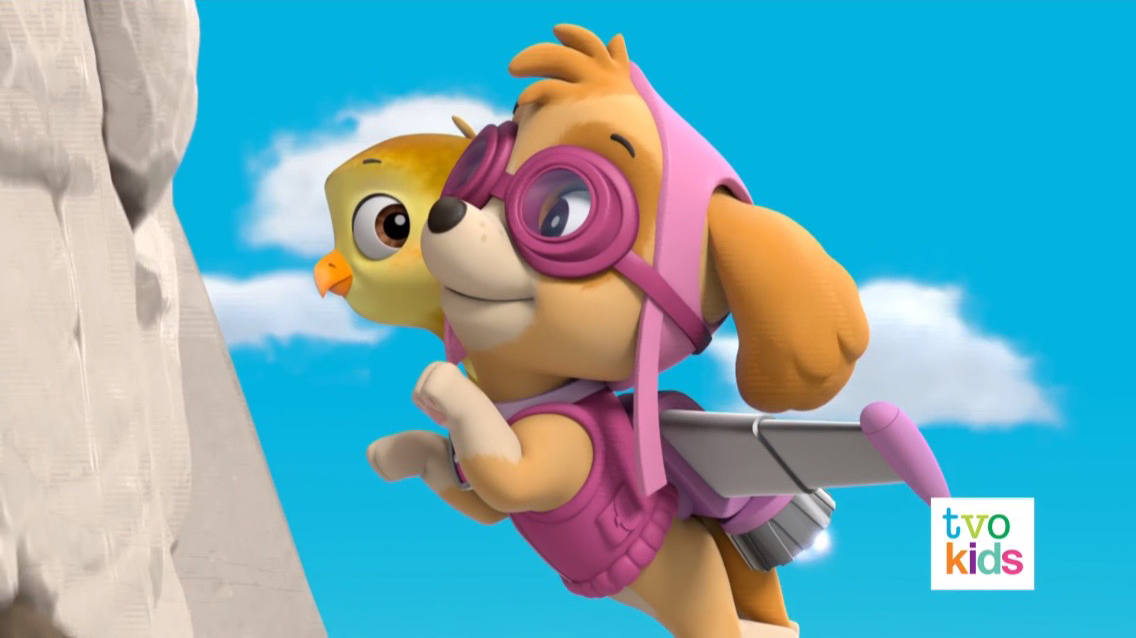 paw patrol scuttlebug