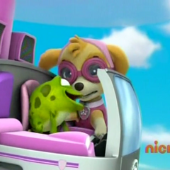 The Day the Paw Patrol Saved a Flying Frog The Day the Paw Patrol Saved a Flying Frog