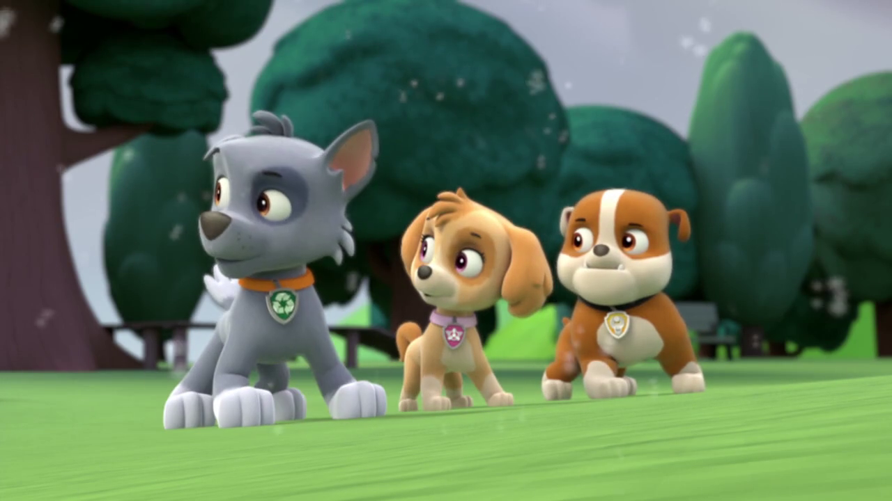 Rocky/Gallery/Pups on Ice PAW Patrol Wiki FANDOM powered by Wikia