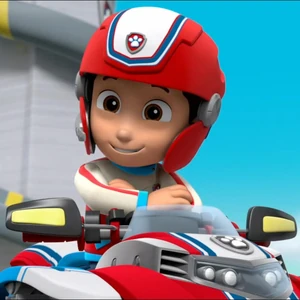 paw patrol ryder helmet
