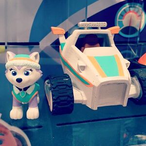 everest pup and vehicle