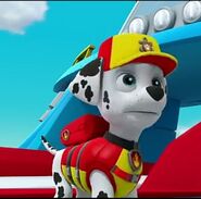 paw patrol sea marshall