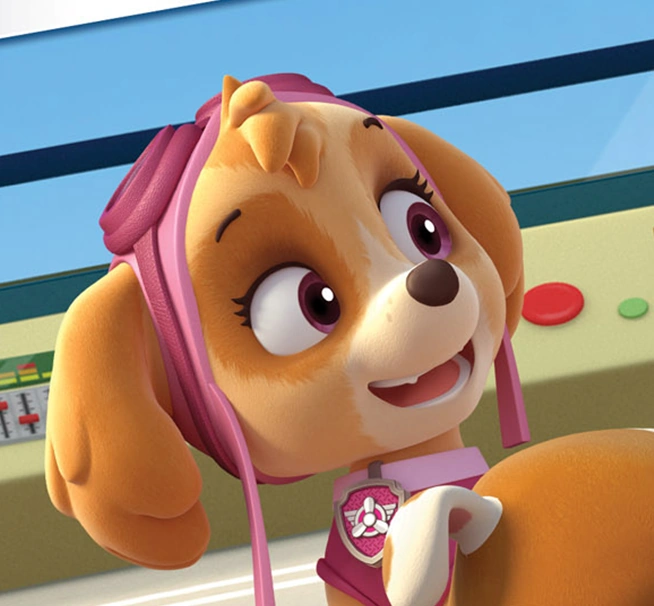 Paw Patrol Sky