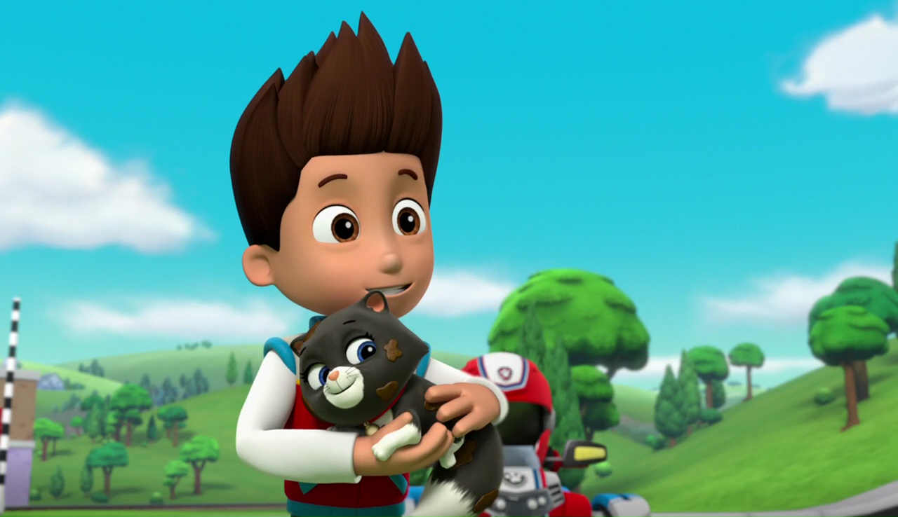 wildcat from paw patrol