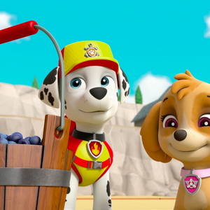flying marshall paw patrol