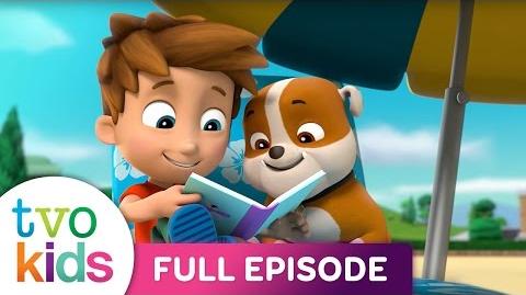 paw patrol pups save a dragon