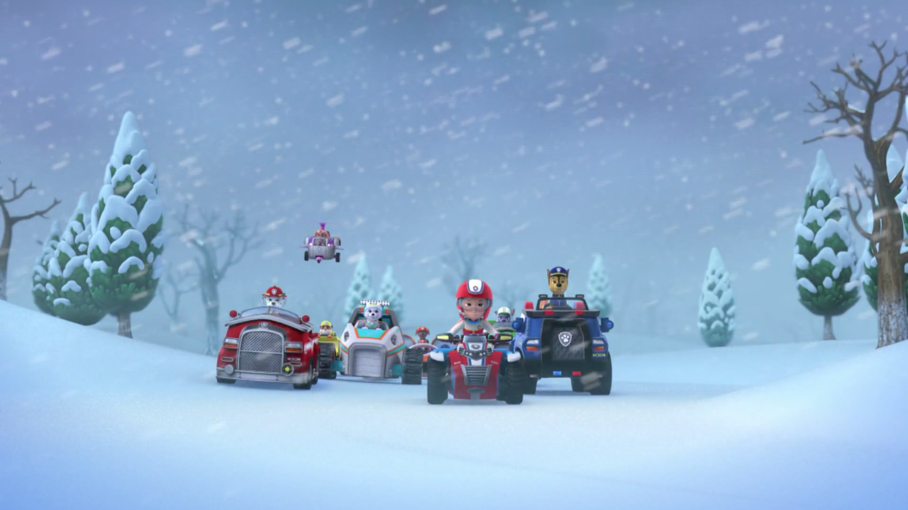 paw patrol winter set