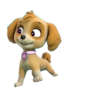 Skye/Gallery | PAW Patrol Wiki | FANDOM powered by Wikia