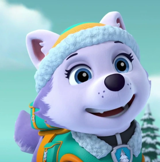 Image Everest.png PAW Patrol Wiki FANDOM powered by Wikia