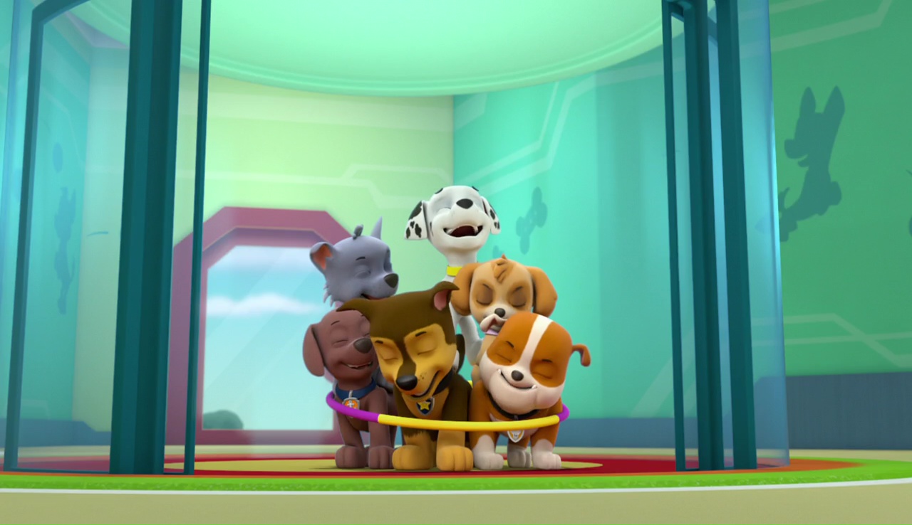 Chase/Gallery/Pups Save the Cat Show PAW Patrol Wiki