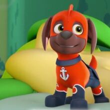 Zuma Paw Patrol Wiki Fandom