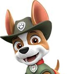 Tracker Paw Patrol Wiki Fandom