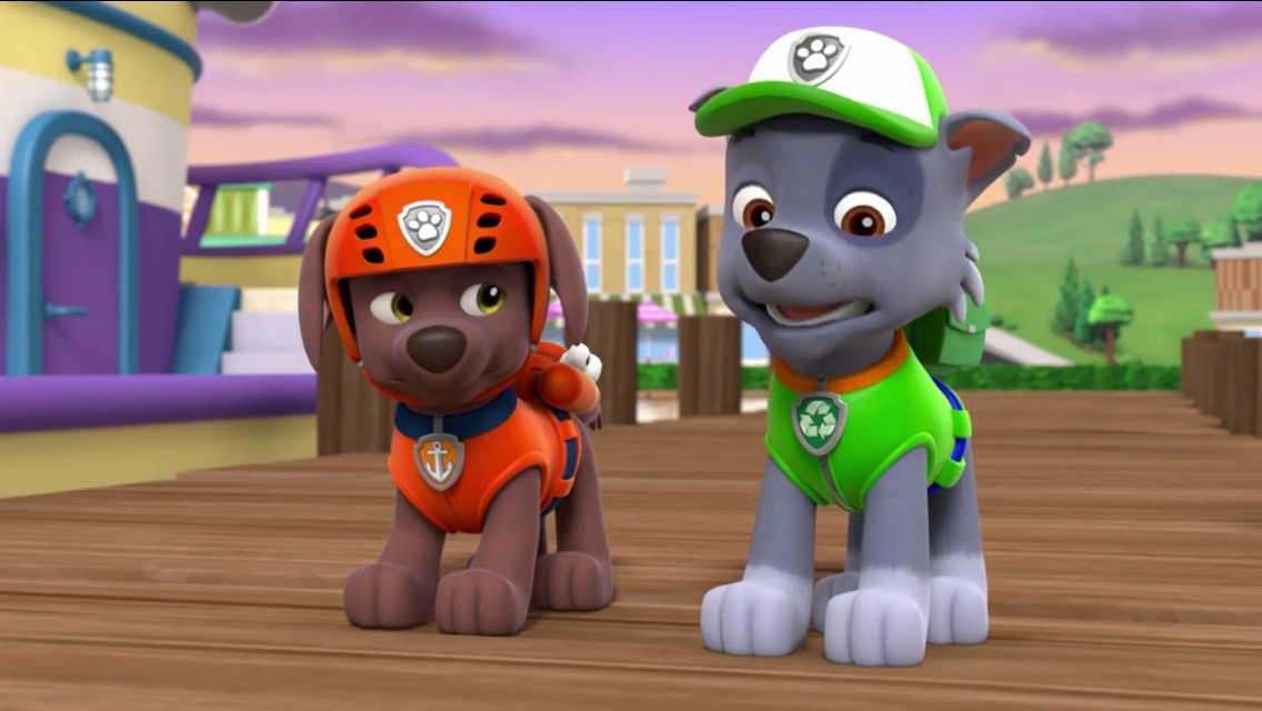 zuma rocky paw patrol zuma rocky paw patrol